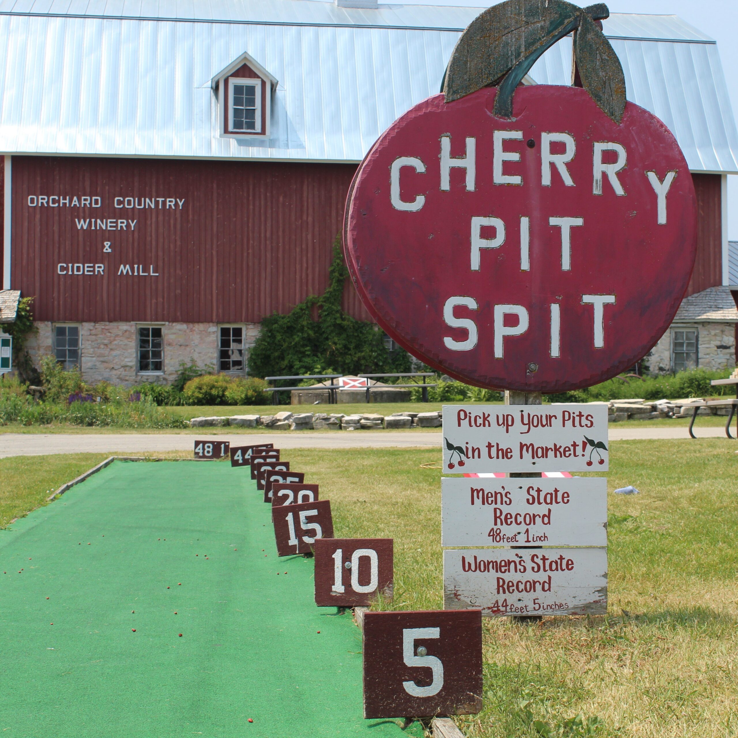 Cherry Pit Spit